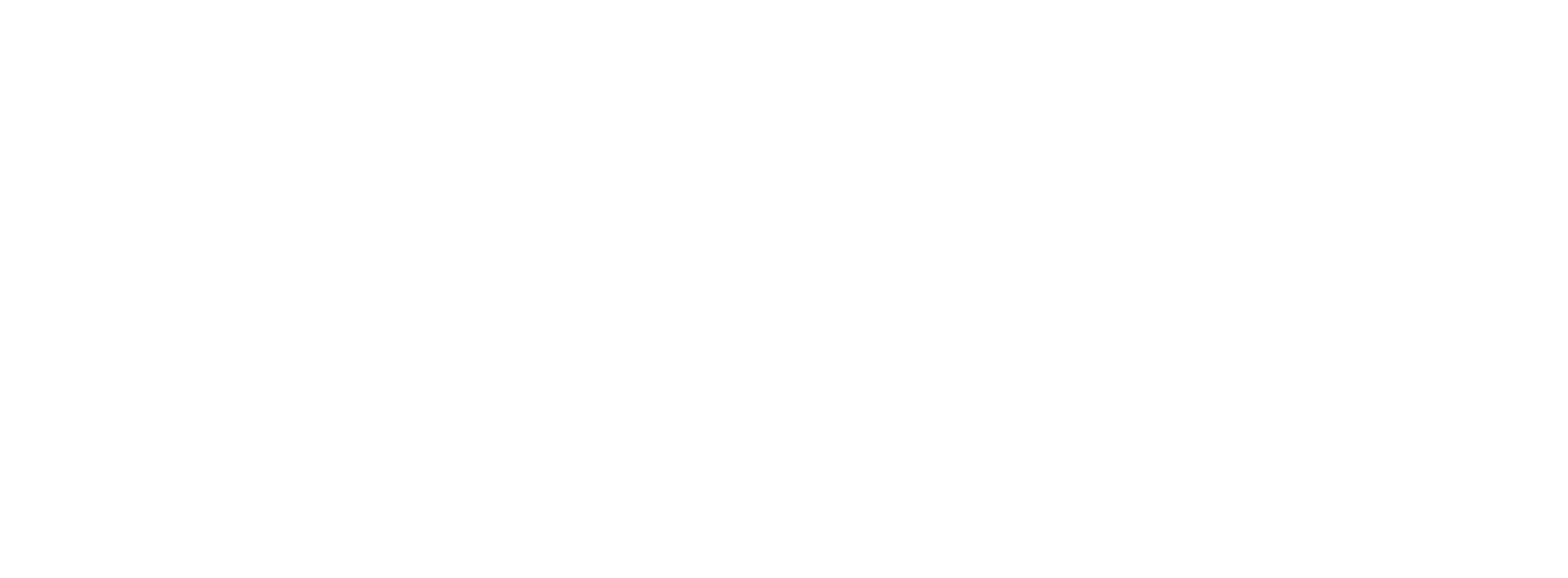 logo blanc.png