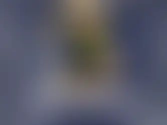 L’Irlandais Tom Dolan (Smurfit Kappa – Kingspan), vainqueur de La Solitaire du Figaro Paprec 2024