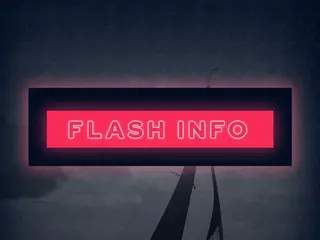 🚨Flash info : Abandon d’Anaëlle Pattusch (NEMO)