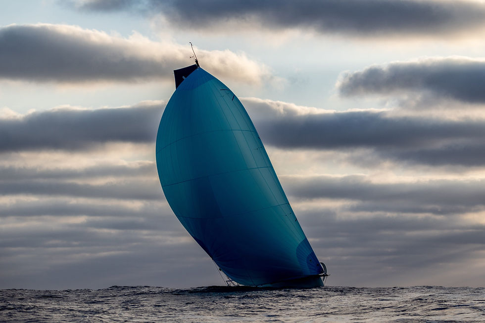 ©Thomas Campion