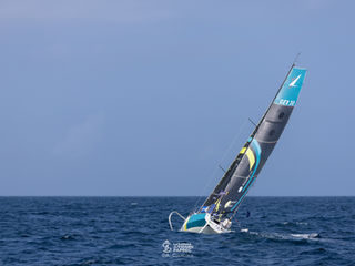 Tightly packed Figaro flock due at Wolf Rock around midnight